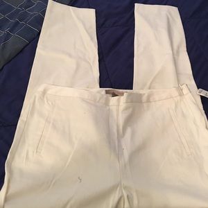 Dress pants size is 12
